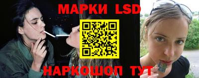 гашик Будённовск