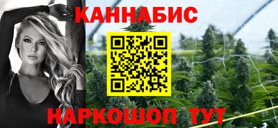 гашик Будённовск