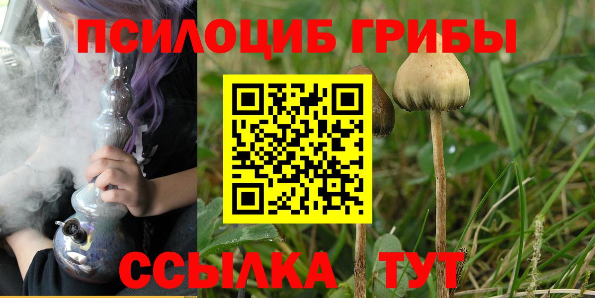 Галлюциногенные грибы Psilocybe  Вход с VPN  Нижнекамск 