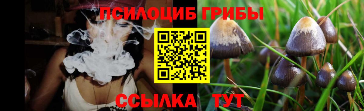 Псилоцибиновые грибы Psilocybe Нижнекамск